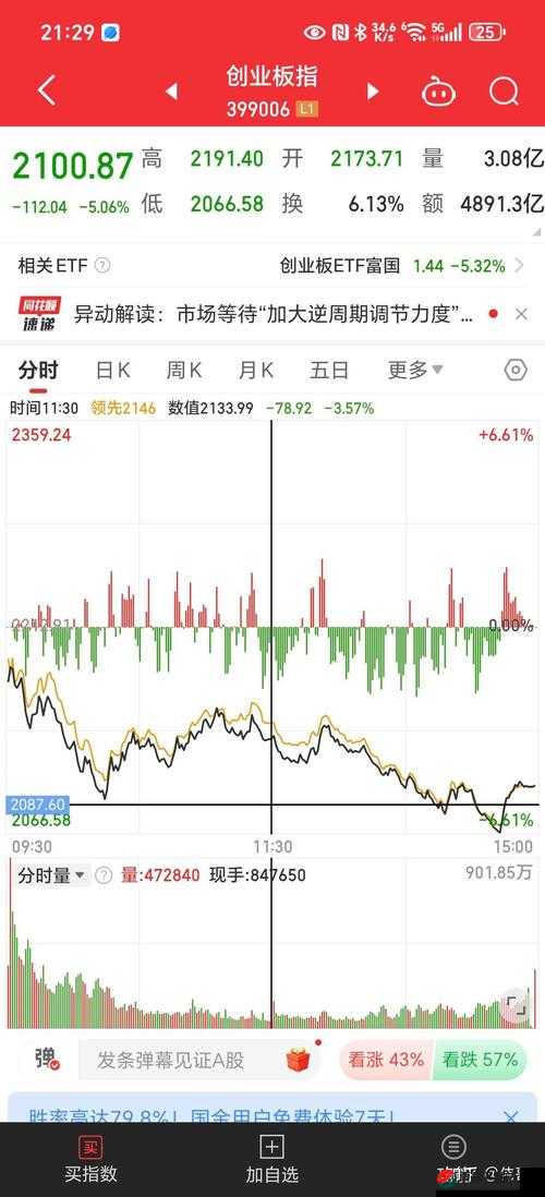 51 大豆行情网仙林踪 2024 功能实时行情解读