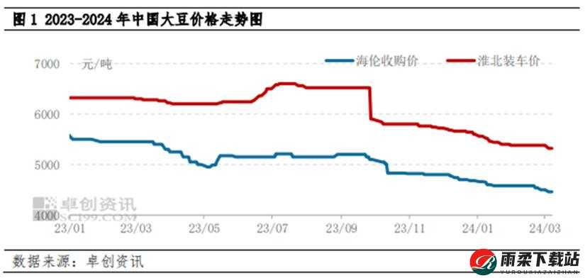 大豆行情网直接入口：行情资讯聚集地