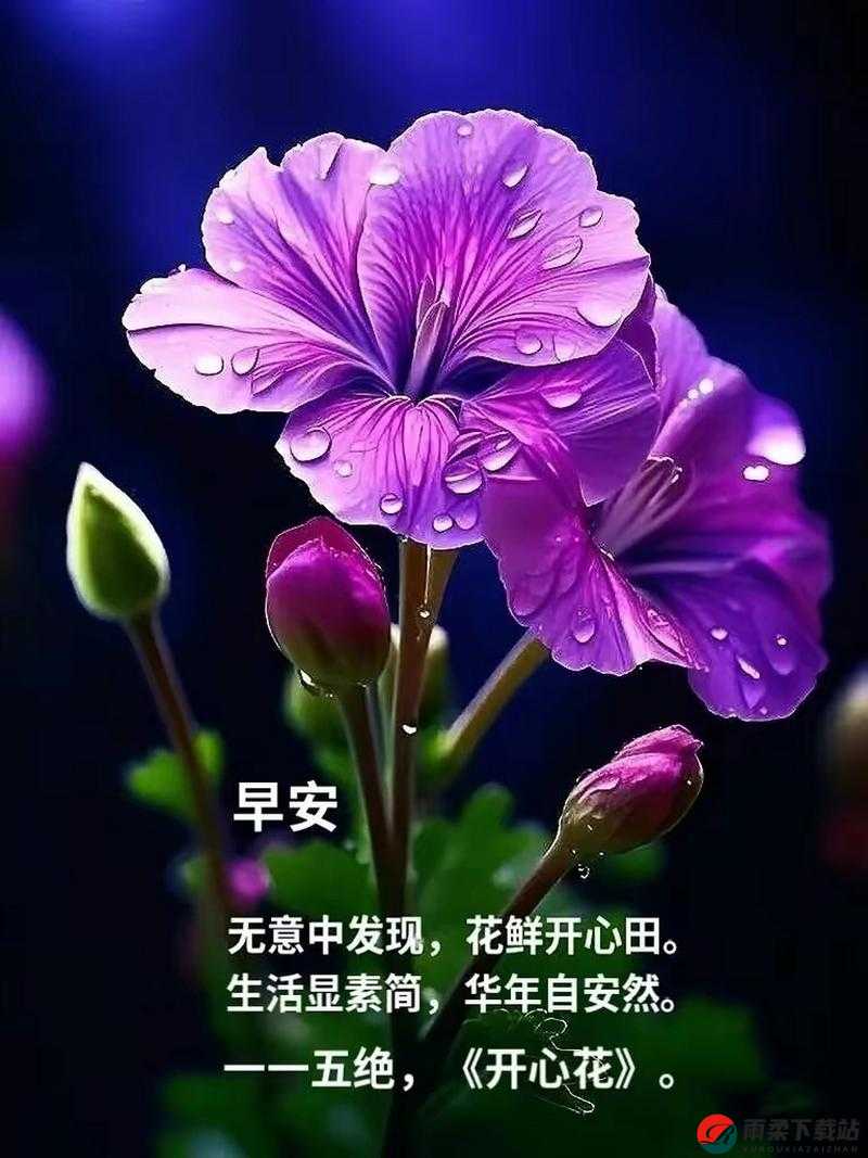 《花满谷新手指南：步步为营，领略百花齐放之美》