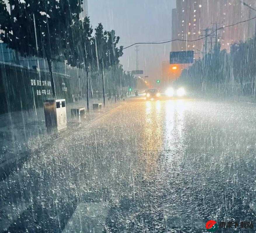 湿漉漉：像是刚下过雨的场景