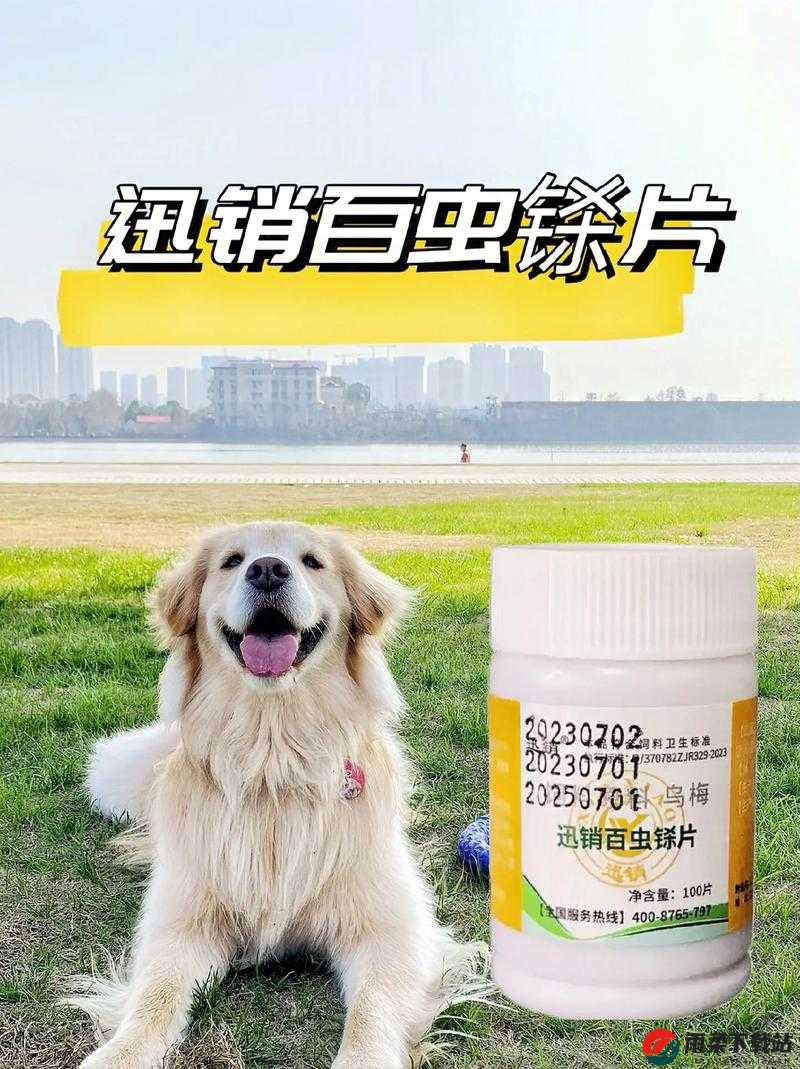 狗狗卡在体内多久能拉出来？