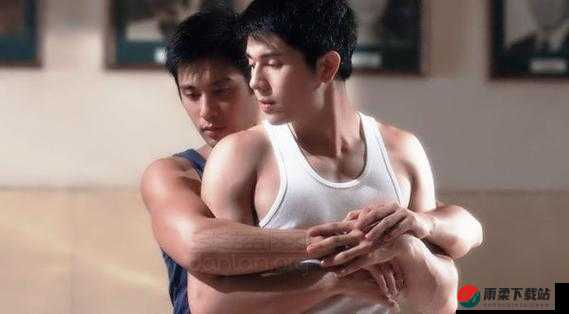 WWW 国产男男 GAY 片：探索别样情感世界