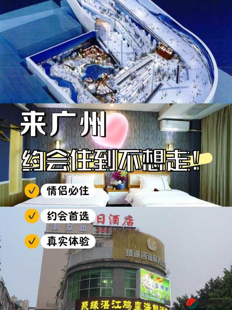 男女一上一下软件：独特体验等你来