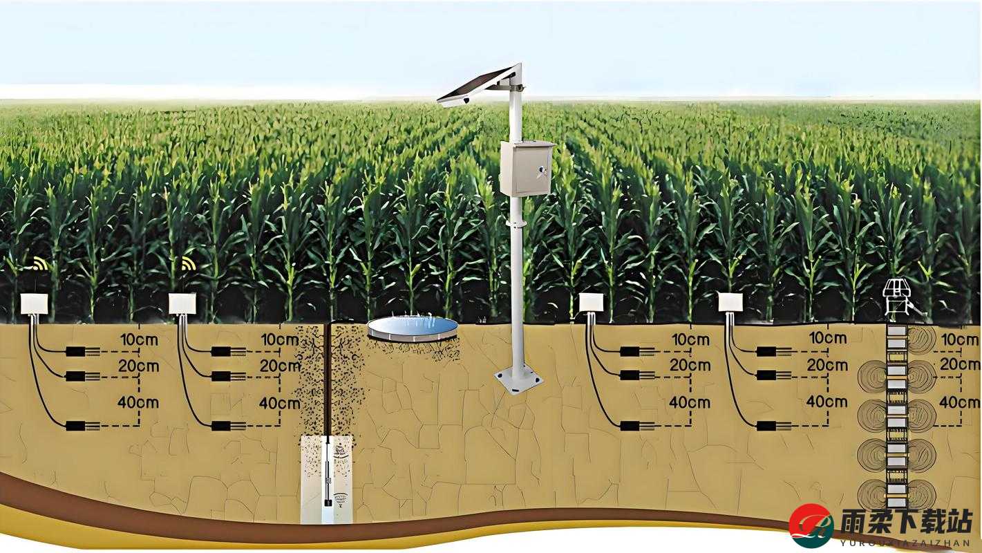 精准灌溉系统 Y 液收集系统：创新农业新方案
